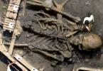 Cele mai mari schelete Cel mai mare craniu uman